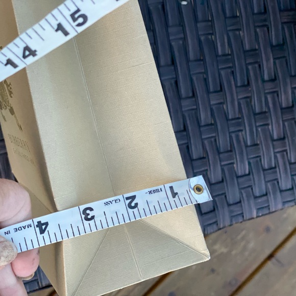 BURBERRY Gift Bag, Small/Med with Gold🐎 Prorsum Embossing on Both Sides🔥9”x7.5 - Picture 4 of 9